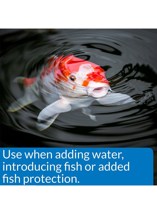 ايه بي آي مُكيف مياه البرك API POND STRESS COAT - زجاجة سعة 32 أونصة - Image 1