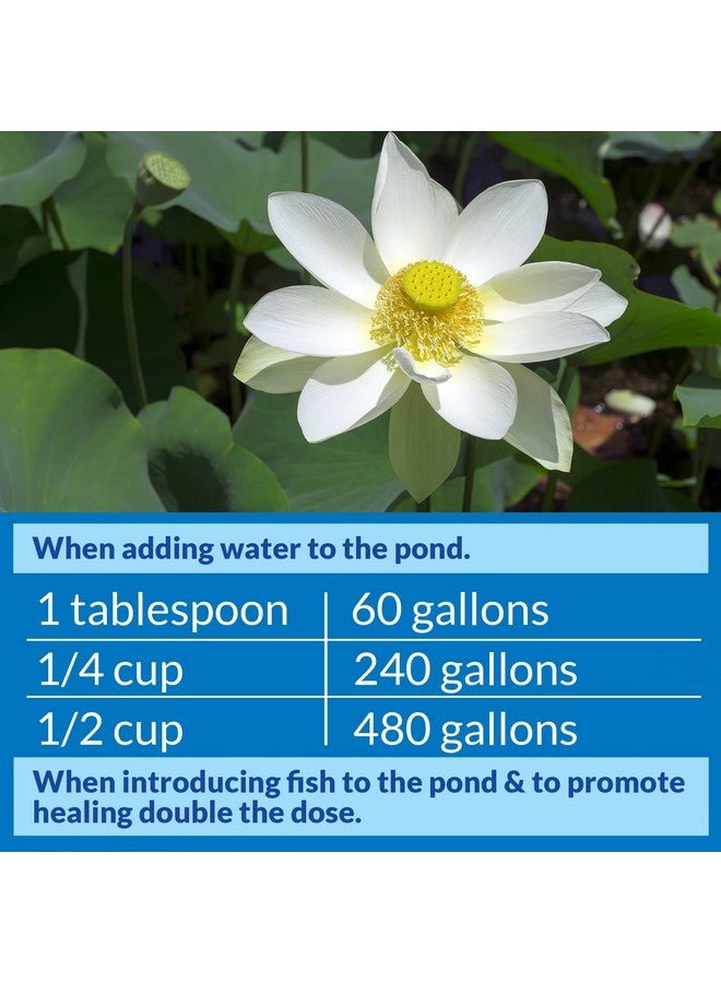 ايه بي آي مُكيف مياه البرك API POND STRESS COAT - زجاجة سعة 32 أونصة - Image 4