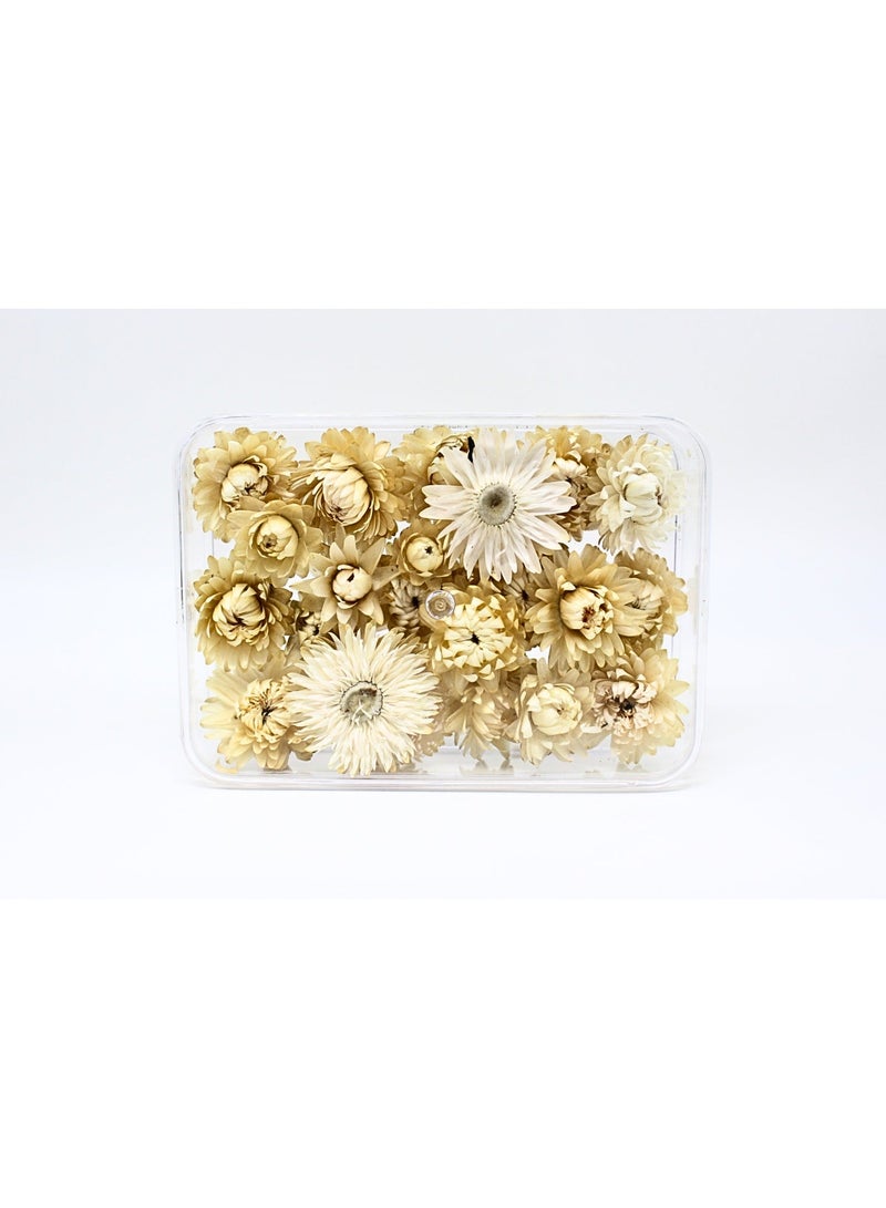 FANCY FLOWERS FANCY Natural Dried Helichrysum Flowers – Dry Floral Decor for Crafts, Weddings & Home Décor – Assorted Colors White, small - Image 3