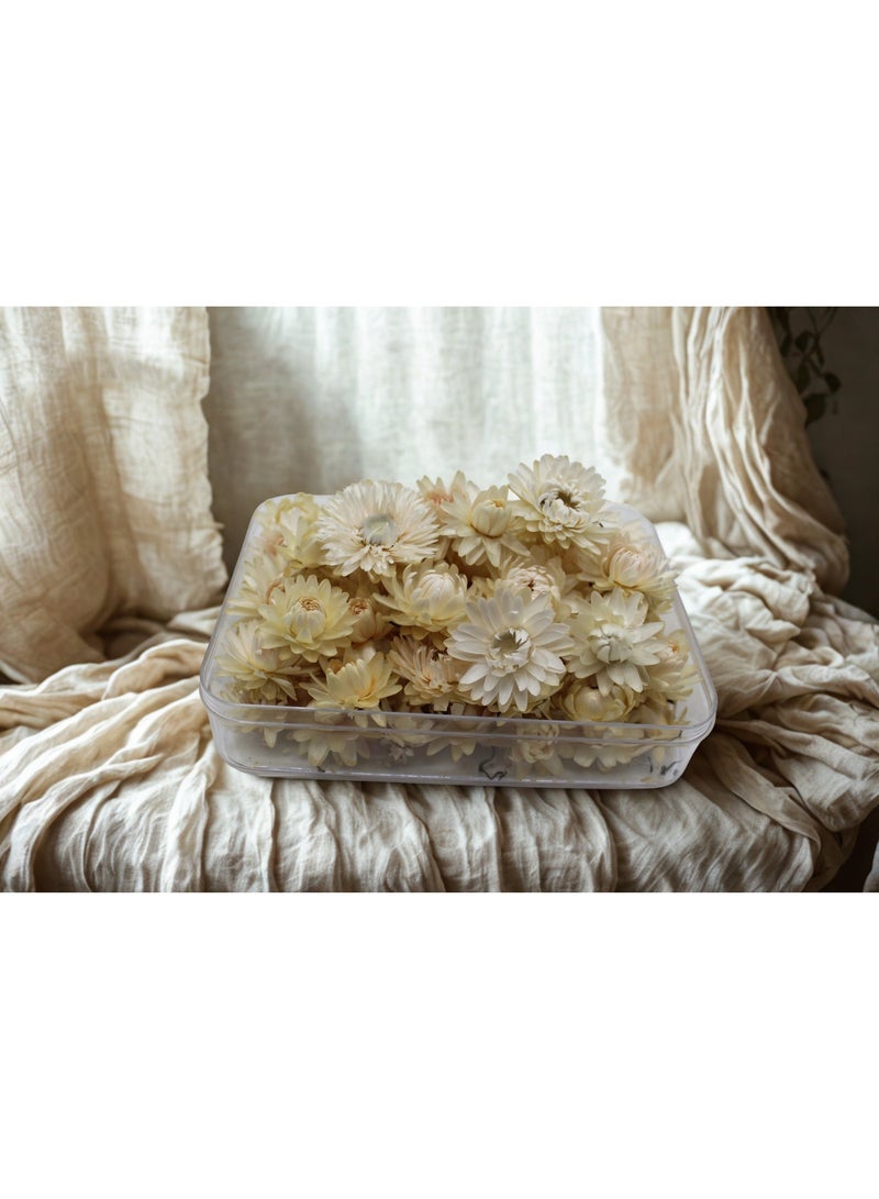 FANCY FLOWERS FANCY Natural Dried Helichrysum Flowers – Dry Floral Decor for Crafts, Weddings & Home Décor – Assorted Colors White, small - Image 2