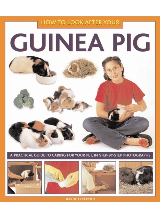 How to Look After Your Guinea Pig - Hardback