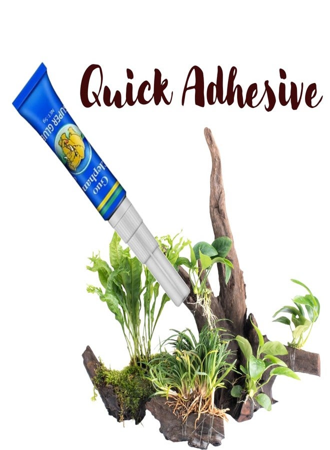 Scroll Store Instant Elephant Aquascaping glue 5g Pack of 2 | For Aquarium Rocks, Driftwood, Plants 10g - Image 2