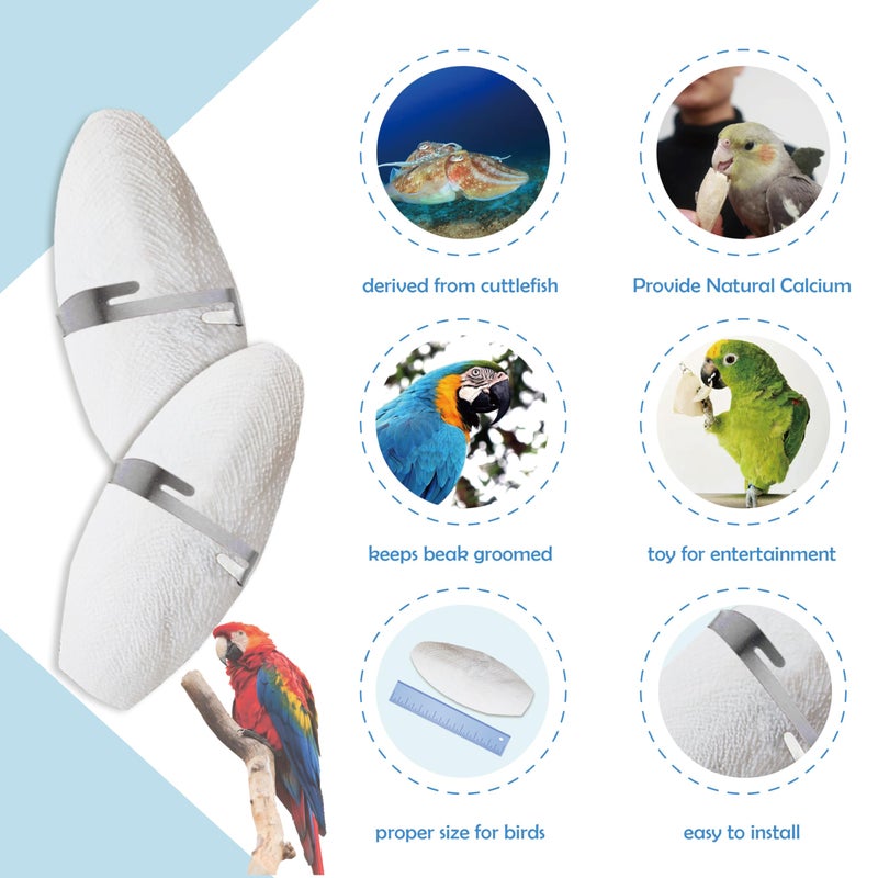 Jmxus Jmxu's 5"-5.5" Bird Cuttlebone for Parakeets, Cuddle Bone with Metal Holder, Cuttlefish Bone for Sharp Beaks, Natural Birds Calcium for Parrots Cockatiels Budgie, 6 Pcs - Image 4