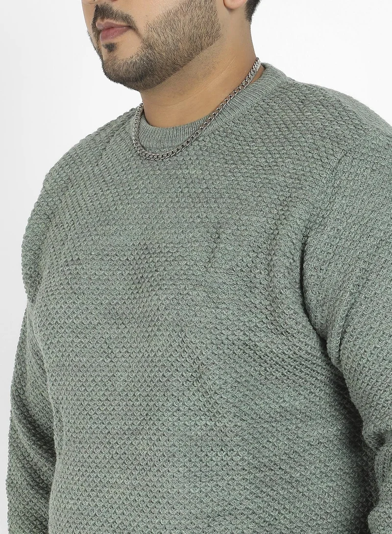Instafab Plus Men's Olive Green Textured Knit Pullover Sweater
