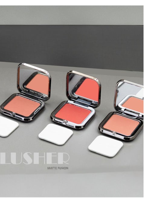 Professional Makeup Blusher 3Pcs