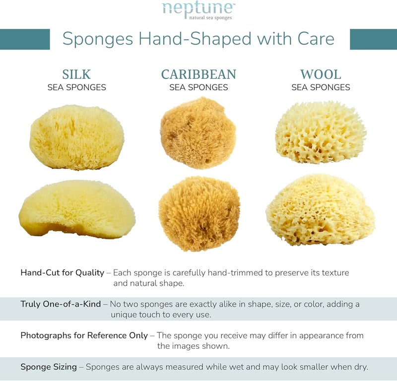 Neptune Sea Wool Sponge Natural Mediterranean Bath Sponge HandCut ExtraLarge Approx 89 Gentle Exfoliation for Body Skincare - Image 5