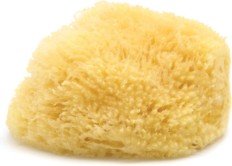 Neptune Sea Wool Sponge Natural Mediterranean Bath Sponge HandCut ExtraLarge Approx 89 Gentle Exfoliation for Body Skincare - Image 1