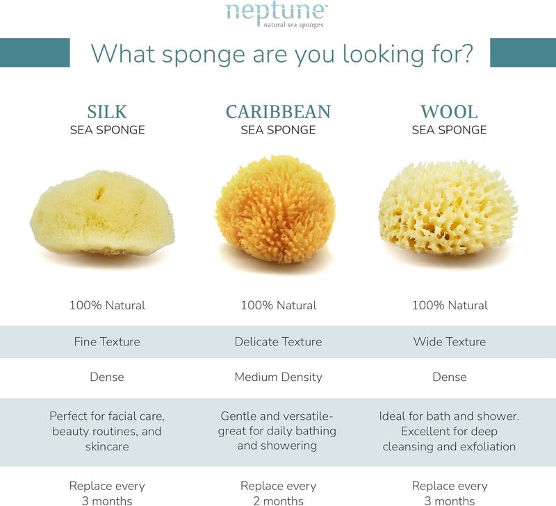 Neptune Sea Wool Sponge Natural Mediterranean Bath Sponge HandCut ExtraLarge Approx 89 Gentle Exfoliation for Body Skincare - Image 4