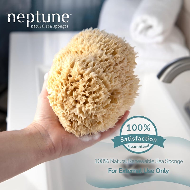 Neptune Sea Wool Sponge Natural Mediterranean Bath Sponge HandCut ExtraLarge Approx 89 Gentle Exfoliation for Body Skincare - Image 2