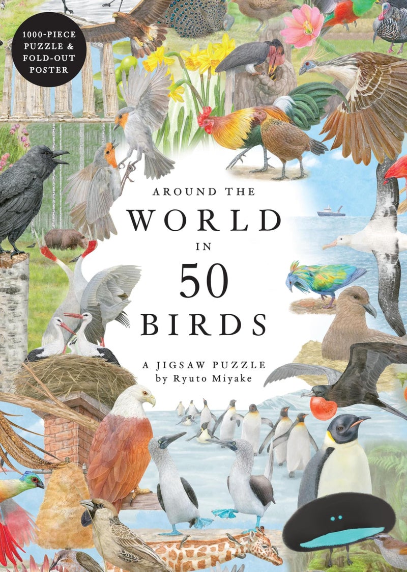 Laurence King Around The World in 50 Birds 1000 Piece Puzzle - Image 2