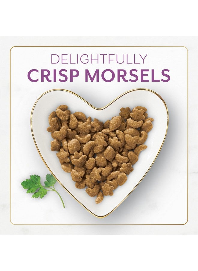 فانسي فيست طعام القطط الجاف بورينا فانسي فيست مع دجاج وديك رومي لذيذين من المزرعة - عبوة من 4 أكياس، 16 أونصة - Image 1