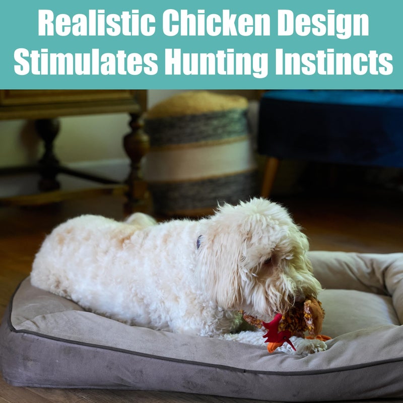 SPOT Skinneeez Chicken 17" Stuffing-Free Plush Dog Toy with Honking Squeaker â€“ Soft, Floppy & Mess-Free Interactive Toy for Medium & Large Dogs â€“ Ideal for Light & Moderate Chewers - Image 4