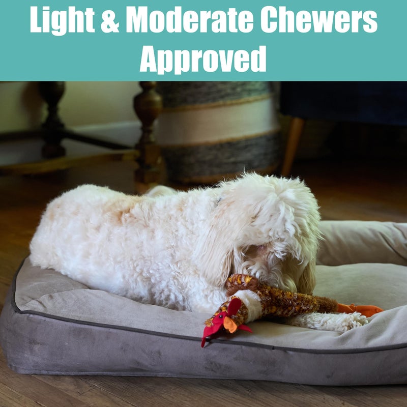 SPOT Skinneeez Chicken 17" Stuffing-Free Plush Dog Toy with Honking Squeaker â€“ Soft, Floppy & Mess-Free Interactive Toy for Medium & Large Dogs â€“ Ideal for Light & Moderate Chewers - Image 3