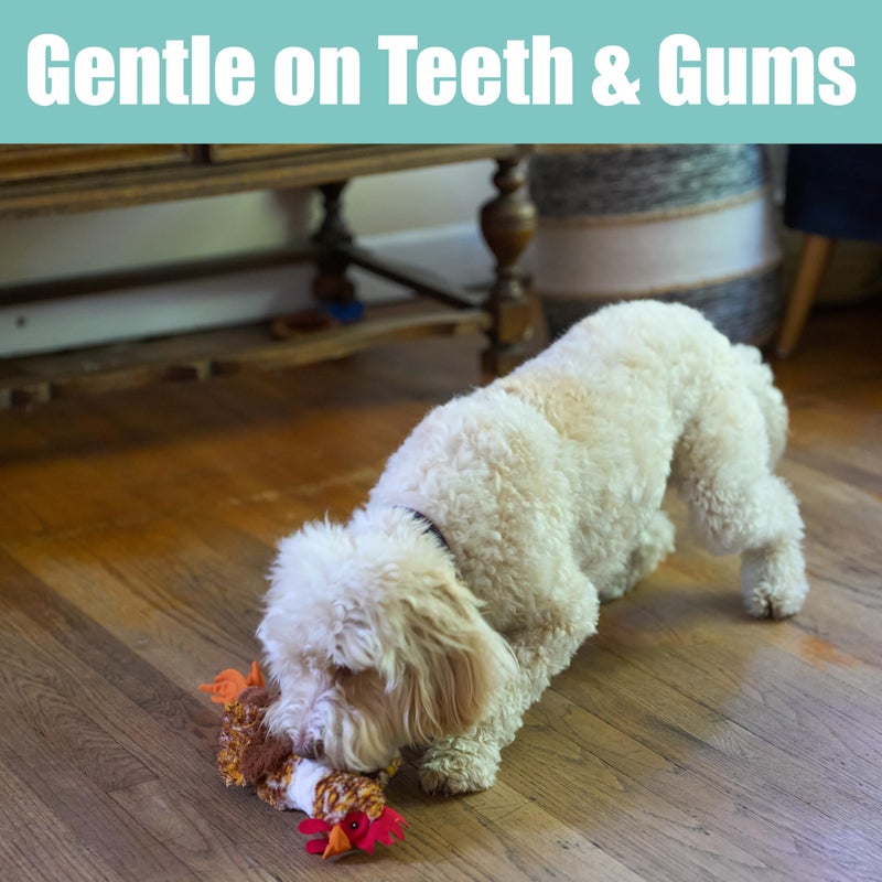 SPOT Skinneeez Chicken 17" Stuffing-Free Plush Dog Toy with Honking Squeaker â€“ Soft, Floppy & Mess-Free Interactive Toy for Medium & Large Dogs â€“ Ideal for Light & Moderate Chewers - Image 5