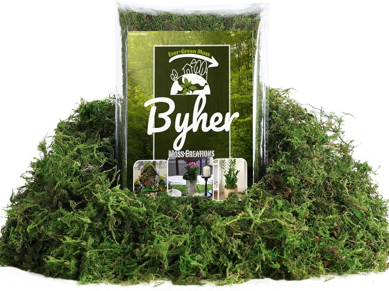 BYHER طحلب اصطناعي 4 أونصة - طحلب للحرف اليدوية ونباتات الزينة الداخلية، عشب أخضر اصطناعي واقعي لحدائق الجنيات، مشاريع DIY، نباتات الأصص، قطع مركزية للطاولة، ديكور حفلات الزفاف (أخضر واقعي) - Image 1