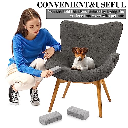 Loopeer 2 Pcs Pet Hair Remover Pumice Stone for Dog Cat Hair Removal Cleaning Pet Fur Stone 6 Inch Dog Fur Cleaning Tool for Car Interior Bedding Carpet Couch Furniture(3.74 x 2 x 1.6 in) - Image 3