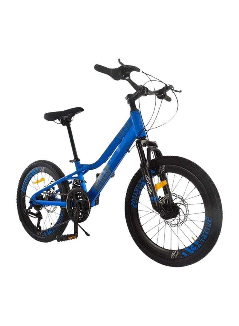 Rally Metallic Bicycle With Disc Brakes Size 20