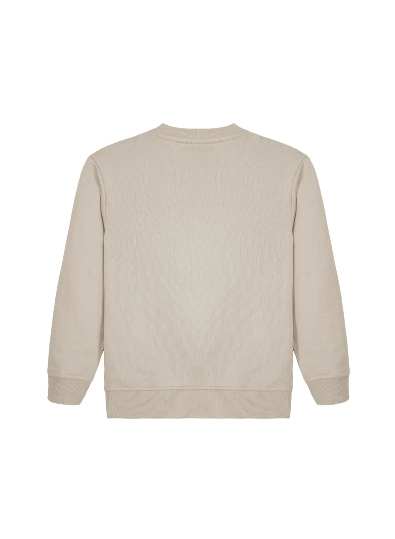 Cedro CEDRO KIDS 100% Cotton Casual Long Sleeve Crew Neck Sweatshirt, Beige