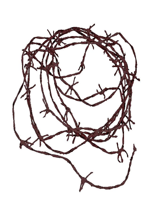 Fun Express Rusty Barbwire Cord Decoration - Soft Touch 18ft Length for Cowboy Western Party Halloween & Christmas Tree Décor - Plastic Rustic Style - Perfect for Themed Parties - 1 Piece - Image 2