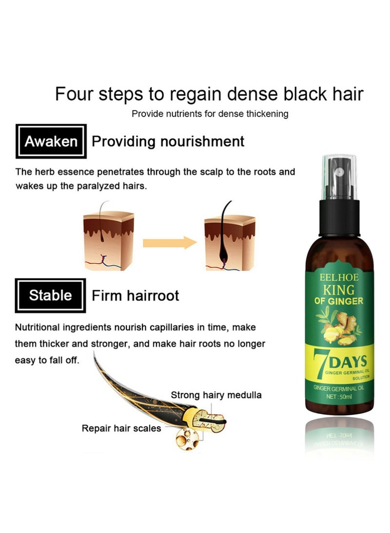 EELHOE Ginger Oil for Hair Growth, 7 Days Germinal Oil, Hair Fall Control, Dry Hair Treatment, Natural Ingredients, Japanese Formula, Unisex, Includes 1 Pc 50ml - Image 2