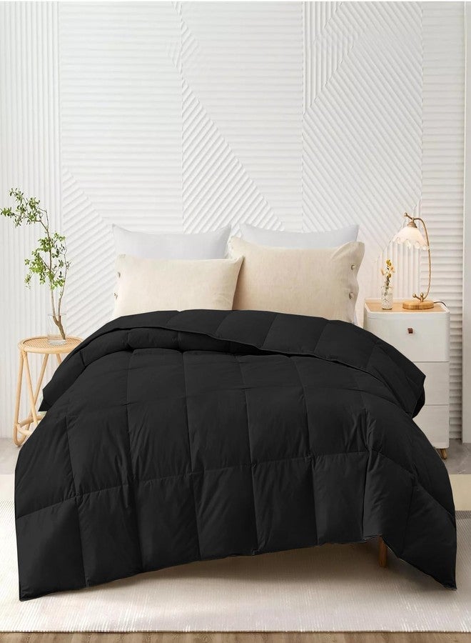 AYANSHI BEDDING Hotel Collection All Season 120 GSM Ac Comforter/Ac Blanket/Ac Duvet Double Bed Comforter (90" X 100" Inches) - Double Bed Comforter - Black Color - Image 1