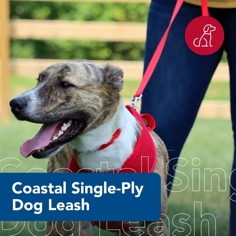 Coastal Pet Single-Ply Dog Leash - Sturdy Pet Leash - Comfortable & Stylish - Resists Fraying - Vibrant & Fade-Resistant Color - Neon Pink, 3/8" x 6' - Image 2