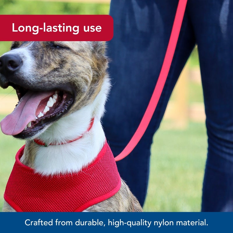 Coastal Pet Single-Ply Dog Leash - Sturdy Pet Leash - Comfortable & Stylish - Resists Fraying - Vibrant & Fade-Resistant Color - Neon Pink, 3/8" x 6' - Image 3