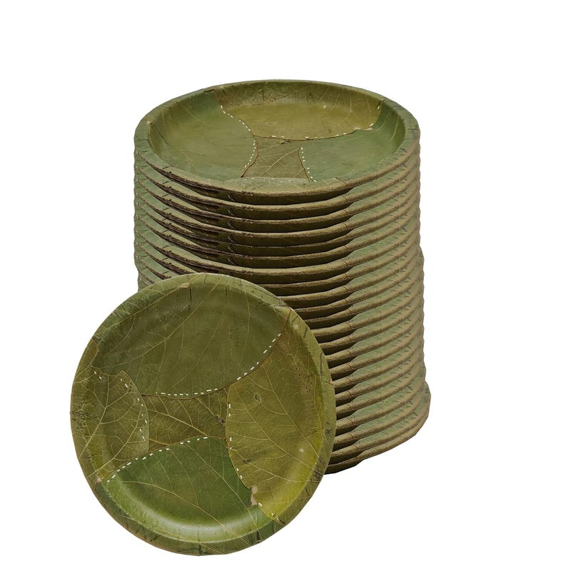 RED WIND 100 Biodegradable_Eco Friendly_12 Inch Both Sides Leaf Dinner Plates_Pack of 100_Natural Leaf Plates_RW31 - Image 1