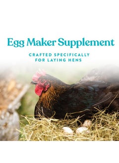 Omega Egg Maker  Chicken Feed Supplement For Laying Hens  Poultry Food With Omega3 Fatty Acids  Digestion Support With Fortified Vitamins & Minerals  5 Lbs - pzsku/Z2C50215D8A3ECB9C3D23Z/45/_/1726219998/c7e7f865-eb87-4039-8e34-87f0abf91de9