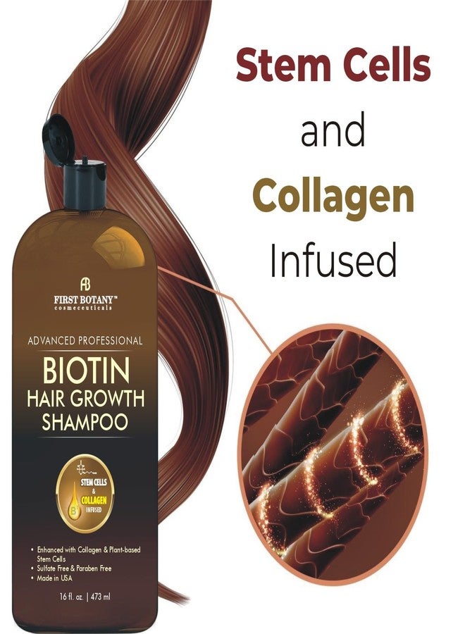 First Botany Hair Regrowth and Anti Hair Loss Shampoo 16 fl oz, with DHT blockers, Collagen & Stem Cells- Daily Hydrating, Detoxifying, Volumizing Shampoo For Men and Women - Image 2