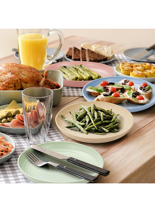 SKY-TOUCH SKY-TOUCH Unbreakable Plastic Dinner Plates Set of 4, Reusable Wheat Straw Plates 7.8 Inches, Lightweight Unbreakable Dinner Dishes Plates, Dishwasher & Microwave Safe  - Image 5