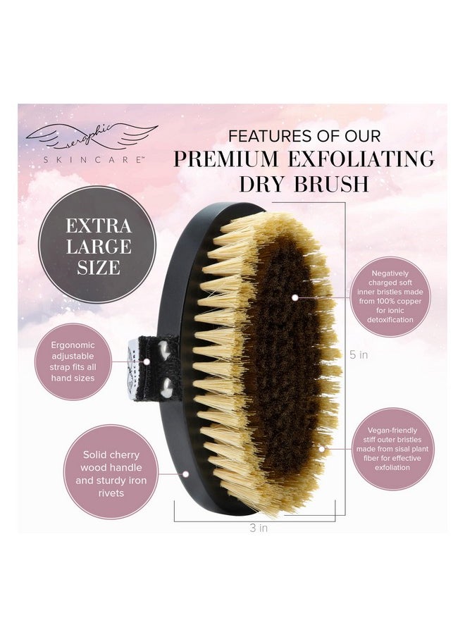 Seraphic Skincare - Dry Brush Body Exfoliator For Smooth & Glowing Skin Promotes Blood Circulation Exfoliating Body Brush For Cellulite Lymphatic Drainage Sisal & Ionic Copper Bristle Body Buffer - Image 1