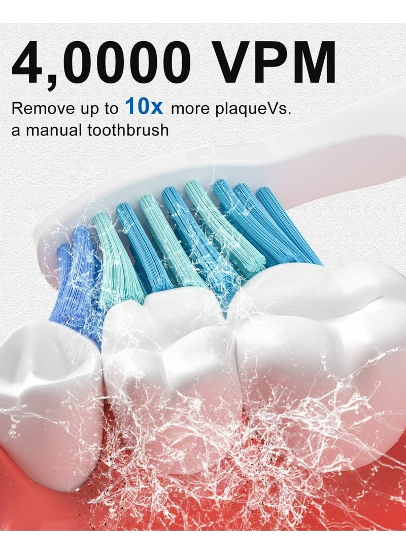 Seago Electric Toothbrush for Adults, with 3 Brush Heads and 4 Modes, Rechargeable Sonic Toothbrush One Charge for 30 Days, Travel Electric Toothbrushes with 2 Mins Timer White - Image 2