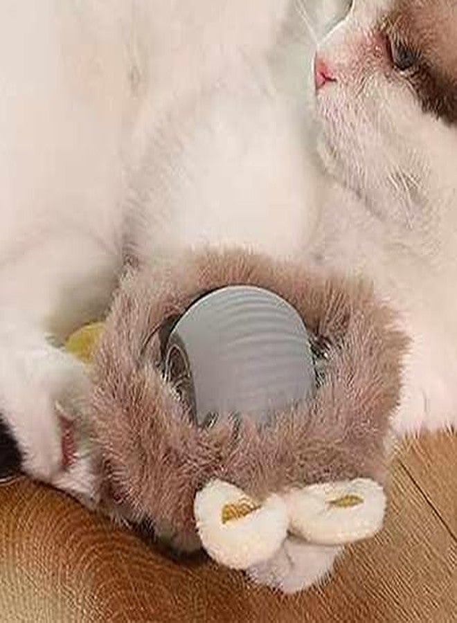 VALUEVIBES Interactive Cat Toys for Indoor Cats, Cats Fast Rolling on Carpet, Automatic Rolling Ball for Cats,Chirping & Motion Activate Cat Toys Automatic Moving Peppy Ball for Cats Kitten (Grey) - Image 2