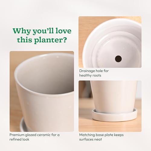 UGAOO Table Top Ceramic Pot |Indoor Ceramic Planter for Home, Office, Garden, Balcony - White (4 Inch) - Image 5