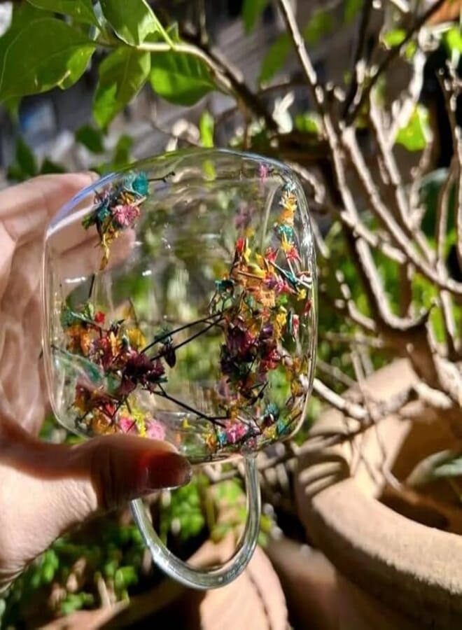 Double Rose Glass Cup Imported Thermal and Cold 450ml Dried Flowers Filled