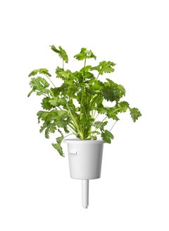 CLICK AND GROW Click & Grow Seeds Steak Seasoning Mix 9 pack  - Image 1