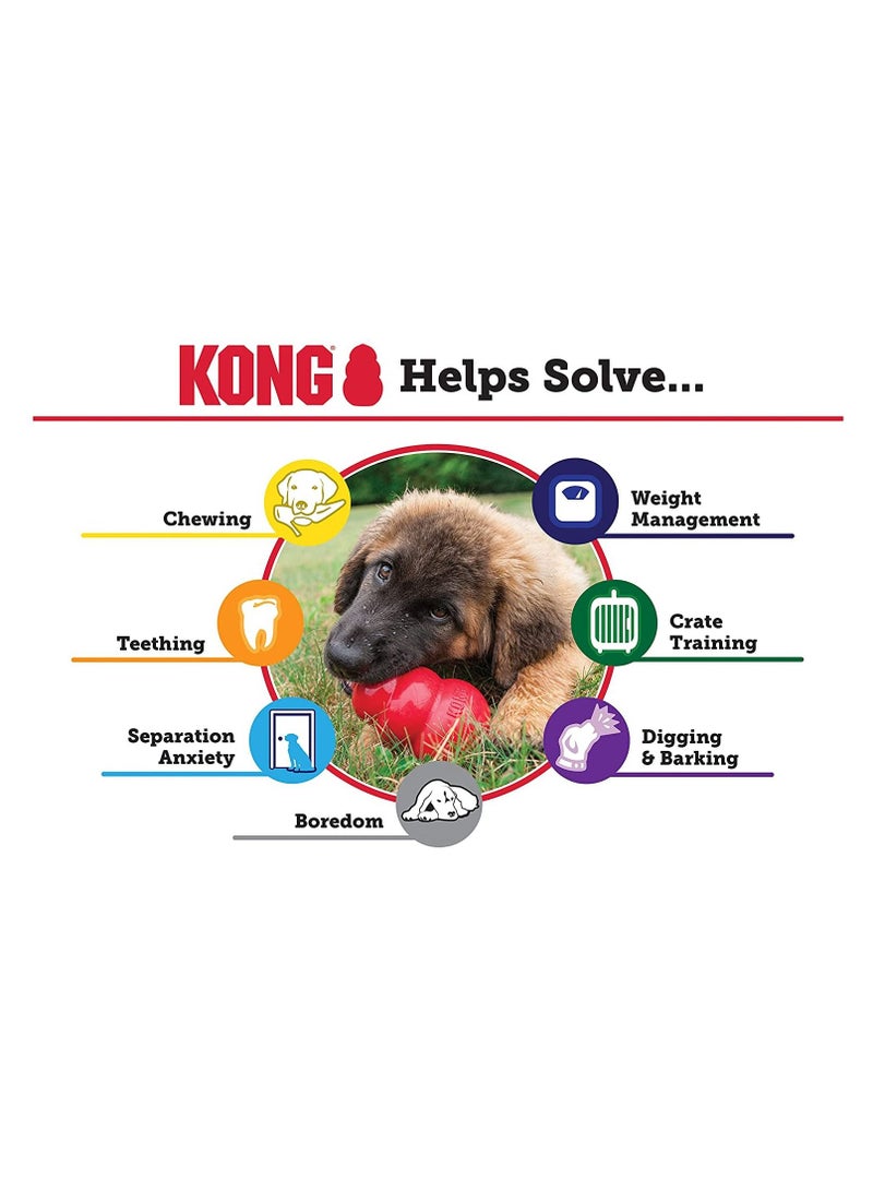 Kong Puppy Teething Toy Made from Natural Gentle Rubber – Soft Texture for Growing Teeth, Safe Chewing, Fun Bouncing Action, and Perfect for Fetch, Chase, and Enrichment Training for Young Puppies - Image 4