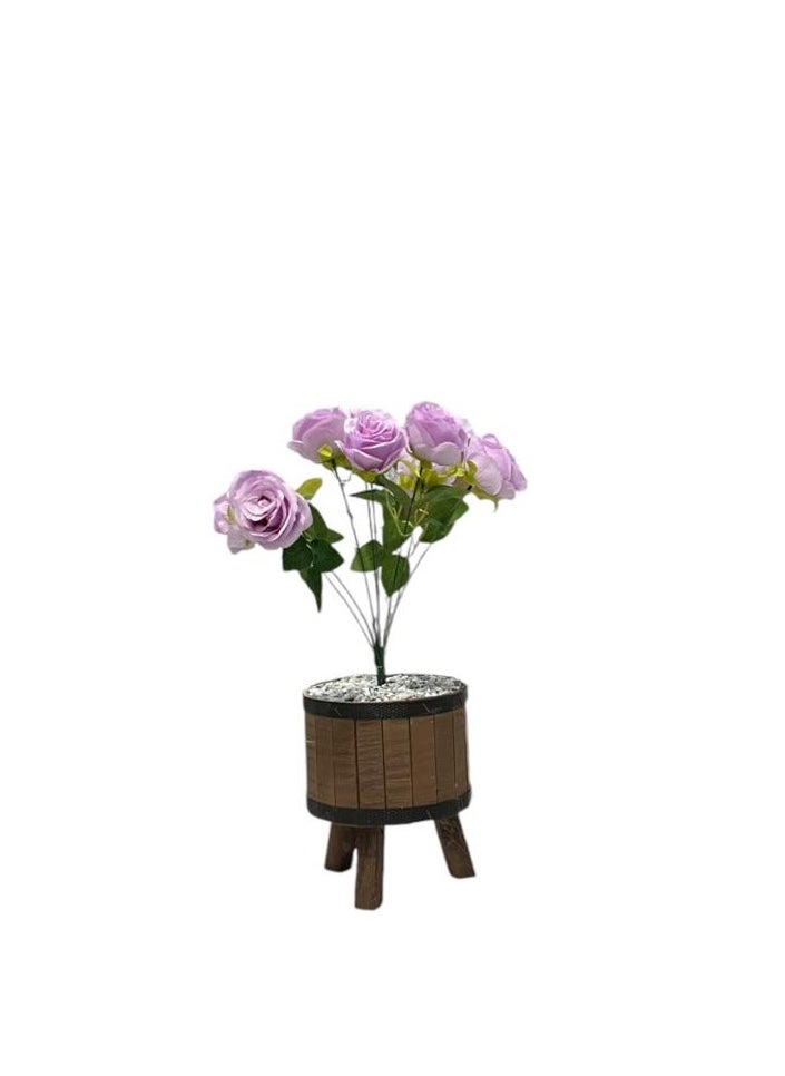 AL KHALDIYA Rose seedling 20 cm with wooden pot  - Image 2