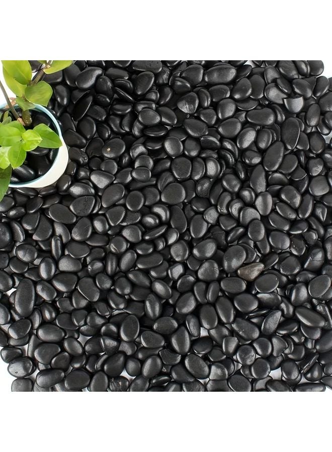 حصى الأنهار الأسود المصقول المتوسط 2 رطل صخور زخرفية لديكور حديقة الأحواض المائية - Image 3