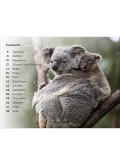 DK Super Readers Level 2 Wild Baby Animals  - Image 4