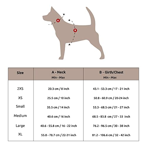 Mutt of Course Raining Donut Harness for Dogs | Neck- 16-22" (L) | for Large Dogs Like Golden Retriever, Labrador etc. - Image 5