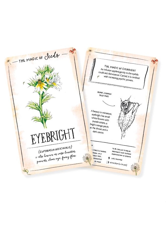 null - The Magic of Seeds Card Deck: An inspiration deck for getting to know yourself - Image 1