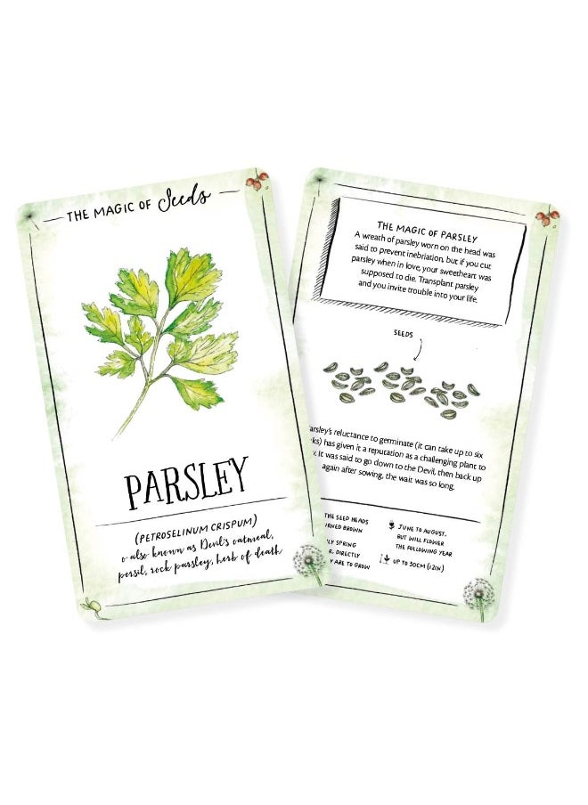 null - The Magic of Seeds Card Deck: An inspiration deck for getting to know yourself - Image 1