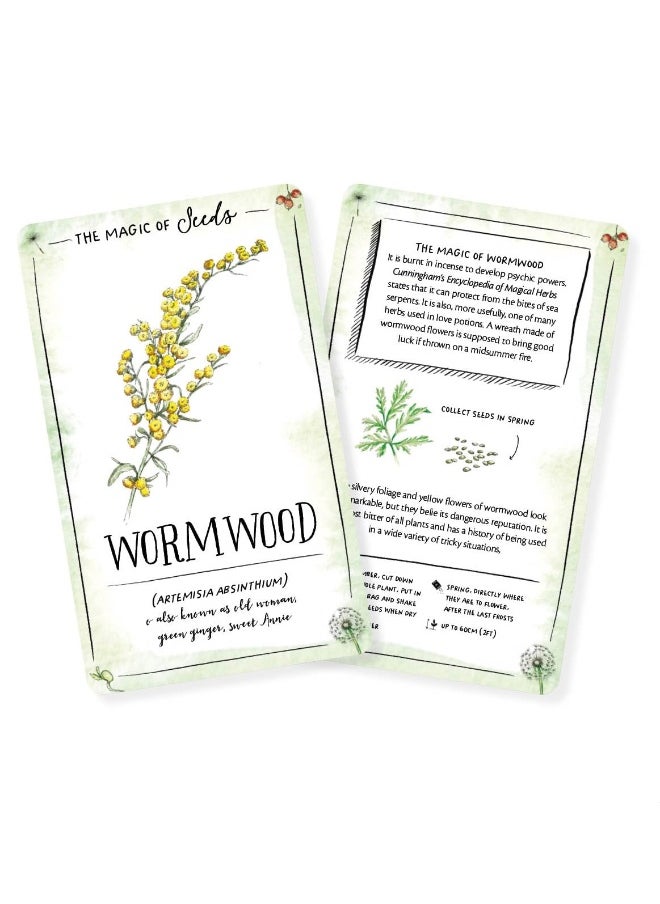 The Magic of Seeds Card Deck: An inspiration deck for getting to know yourself  - Image 4