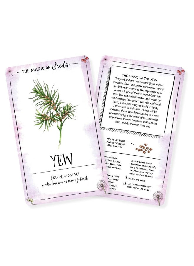 The Magic of Seeds Card Deck: An inspiration deck for getting to know yourself  - Image 1