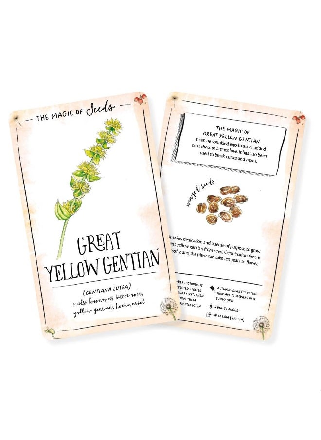 The Magic of Seeds Card Deck: An inspiration deck for getting to know yourself  - Image 2