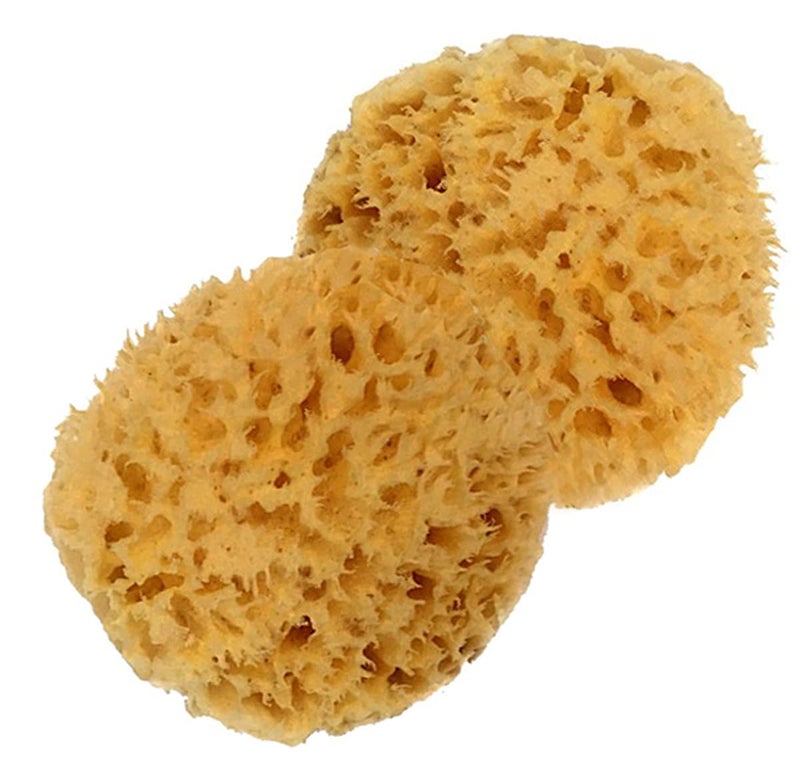 spa destinations Spa Baby Absorbent Natural Bath Sponge Spa Destinations. Ultra Soft Premium Sea Wool Sponge, Biodegradable, Bath Accessories Baby and Kids, Infant Bath. Two (2) Pack 3-4 inch for Moms - Image 3