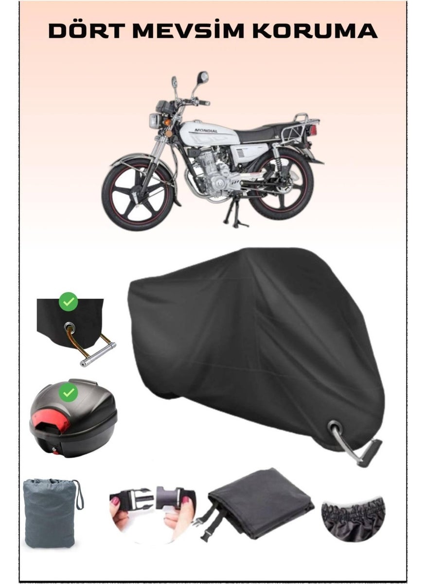 Breen - Rear Bag and Lock Compatible Black Motorcycle Canvas for Mondial 100 Uag, Safe - Image 1