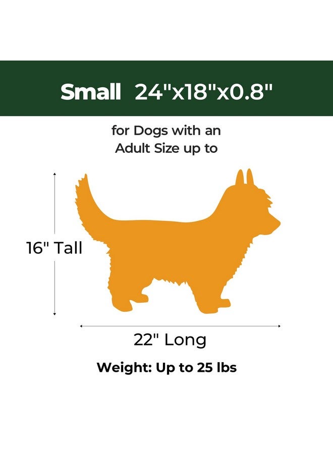 بالنس وسادة قفص الكلاب BALANCE، وسادة قفص إسفنجية للكلاب، سرير للحيوانات الأليفة قابل للغسل ومقاوم للماء، حصيرة قفص مسطحة للكلاب الصغيرة - Image 5